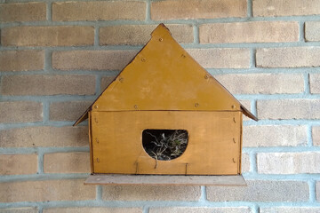 isolated birdhouse close-up