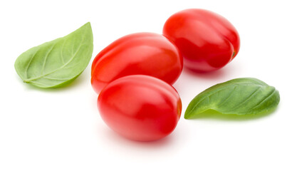 fresh plum tomato with basil leaf isolated on white background