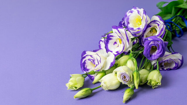 Blue and white lisiantus flowers bouquet on the blue background. Nice greeting card design, banner with space for your text. Celabrating Valentine's day or Mother's day or Women's day.