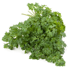 parsley leaves bunch isolated on white background cutout