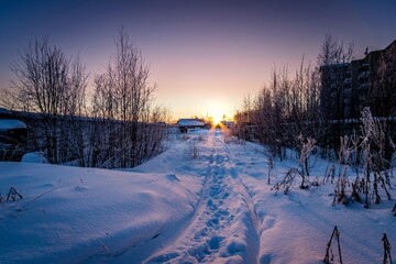 Evening winter landscape with a path leading to the horizon with the setting sun. Frosty trees