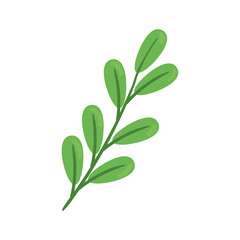 branch with leafs ecology nature icon vector illustration design
