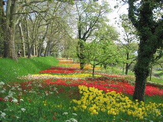 Obraz premium Mainau Island, Bodensee