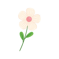beauty white and pink flower and leafs spring season icon vector illustration design