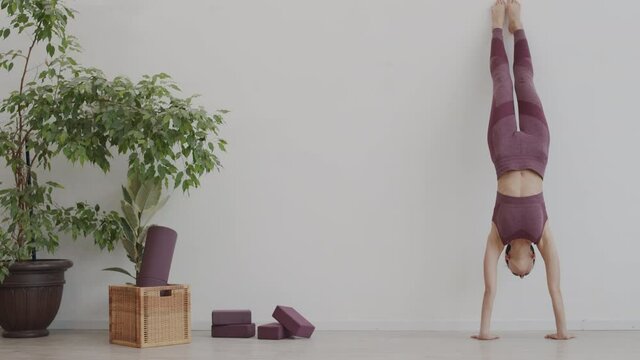 Wide shot of beautiful Caucasian female yogi standing on her hands near wall in yoga studio and doing downward facing tree pose