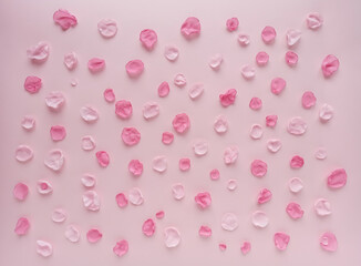 Gentle pattern. Pink petals on a pink background.