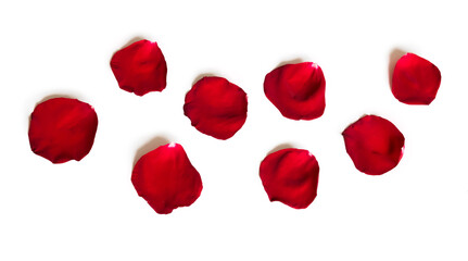 Red petals of rose flower isolated on white background