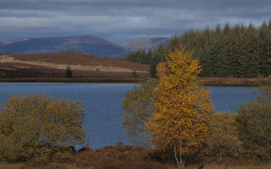 Widok na Rannoch More1 gory i jeziorko kolorowe drzewa © Jaroslaw