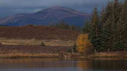 Widok na Rannoch More gory i jeziorko drzewa © Jaroslaw