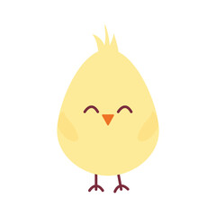 chick on a white background