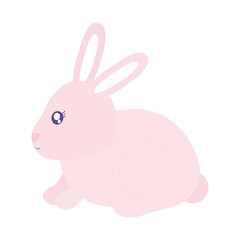 cute bonny in a white background