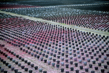 leere Pflanzk&ouml;rbchen in einer G&auml;rtnerei