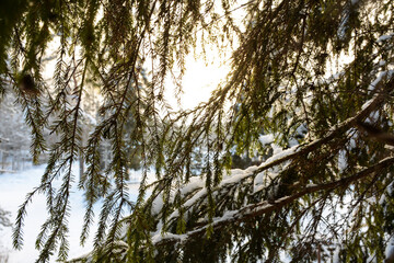 RUSKEALA, RUSSIA- JANUARY 15, 2021: Ruskeala Waterfalls in winter