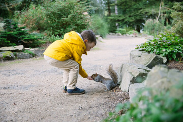 a boy in a yellow jacket feeding a squirrel in a park, squirrel eating from hands - 413357560
