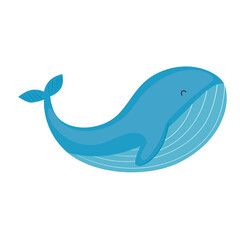 wild whale fish swimming sealife icon vector illustration design