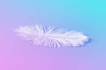 Pink and grey bird feathers on gray background