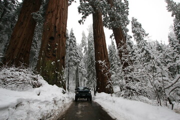 Kings Canyon National park Truck in the snow