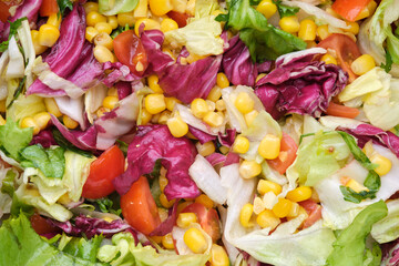 Fresh salad with tomatoes, corn and  salad leaves - frisee, romano, mangold.