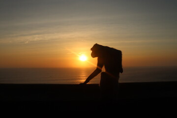 silhouette of monkey