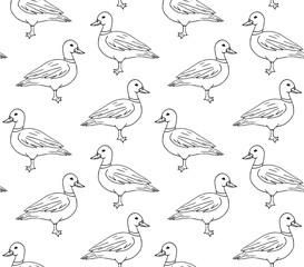Vector seamless pattern of hand drawn doodle sketch duck isolated on white background