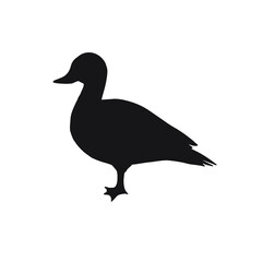 Vector hand drawn duck silhouette isolated on white background
