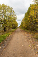 Beautiful Fall scene on curved unpaved road with colorful leaves on trees and in the road