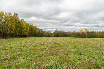 Fototapeta premium Green field is surrounded by autumn forest. Cloudy autumn day. Nature landscape background