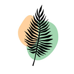 Vector hand drawn doodle sketch palm leaf silhouette isolated on white background