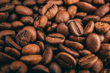 coffee beans close up