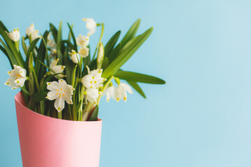 Happy Mothers day. Spring flowers bouquet in pink paper cone on blue background. Hello spring