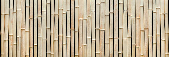 Beautiful exotic bamboo facade, detail.