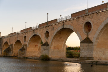 Fototapeta premium Badajoz Palmas bridge at sunset with ducks on Guadiana river, in Spain