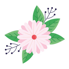 beauty pink and white flower and leafs spring season icon vector illustration design