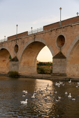 Fototapeta premium Badajoz Palmas bridge at sunset with ducks on Guadiana river, in Spain