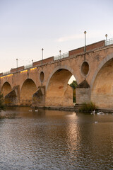 Obraz premium Badajoz Palmas bridge at sunset with ducks on Guadiana river, in Spain