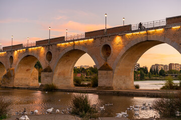 Fototapeta na wymiar Badajoz Palmas bridge at sunset with ducks on Guadiana river, in Spain