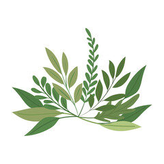 plant with many green leaves