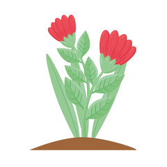 beauty red color flowers and leafs spring season plant vector illustration design
