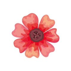 beautiful red flower decorative icon vector illustration design