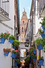 Fototapeta na wymiar Flower Alley and Mosque in Cordoba, Spain