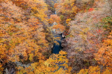 吾妻峡の秋