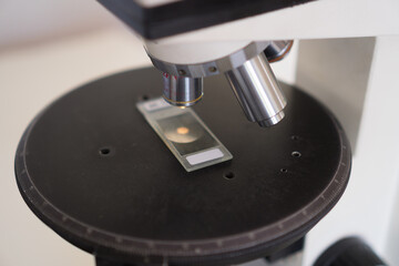 Microscopy Laboratory