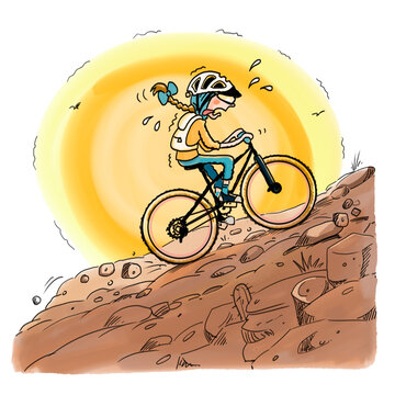 Ciclista, subida, cansada, soleado, trenza, mujer, muchacha, ni&ntilde;a, deportista.