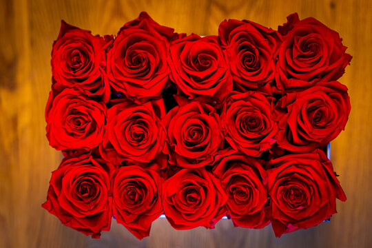 15 haltbare Rosen in rechteckiger flowerbox