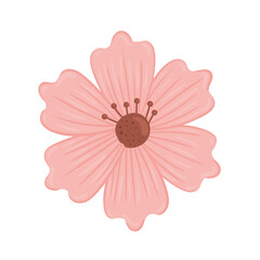 cute pink flower spring nature icon vector illustration design