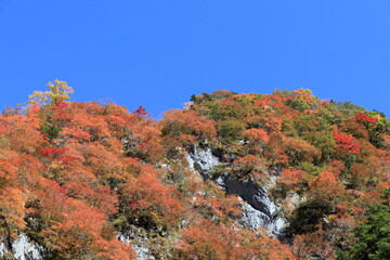 べふ峡　屏風岩　クローズアップ　（高知県）