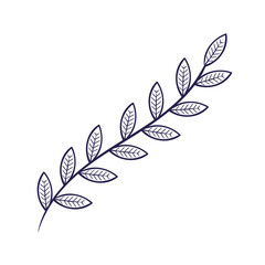 branch with leafs nature plant icon vector illustration design