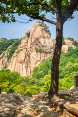 Obraz premium A scenic spot on Mount Wulian