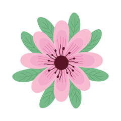 cute pink flower and leafs spring icon vector illustration design