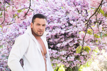 Spring handsome man. Pink sakura blossom. Springtime. Bearded man in white shirt. Male fashion.